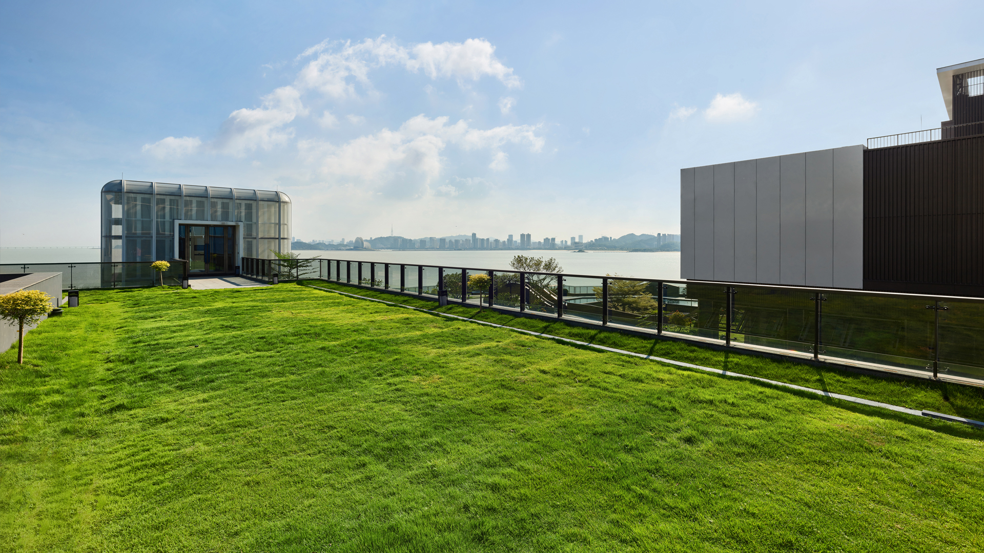 Rooftop Lawn